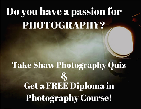 free shawacademy course